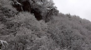 渓流解禁2012-02-25