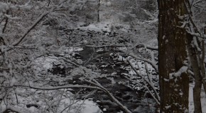 渓流解禁2012-02-25