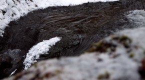 渓流解禁2012-02-25