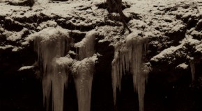 渓流解禁2012-02-25