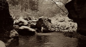 渓流解禁2012-02-25