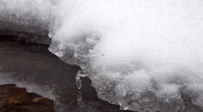 渓流解禁2012-02-25