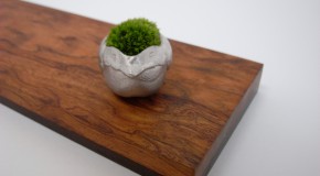 + 恵矩堂 = お盆 [ 恵幾 ] 本紫檀+ブビンガ